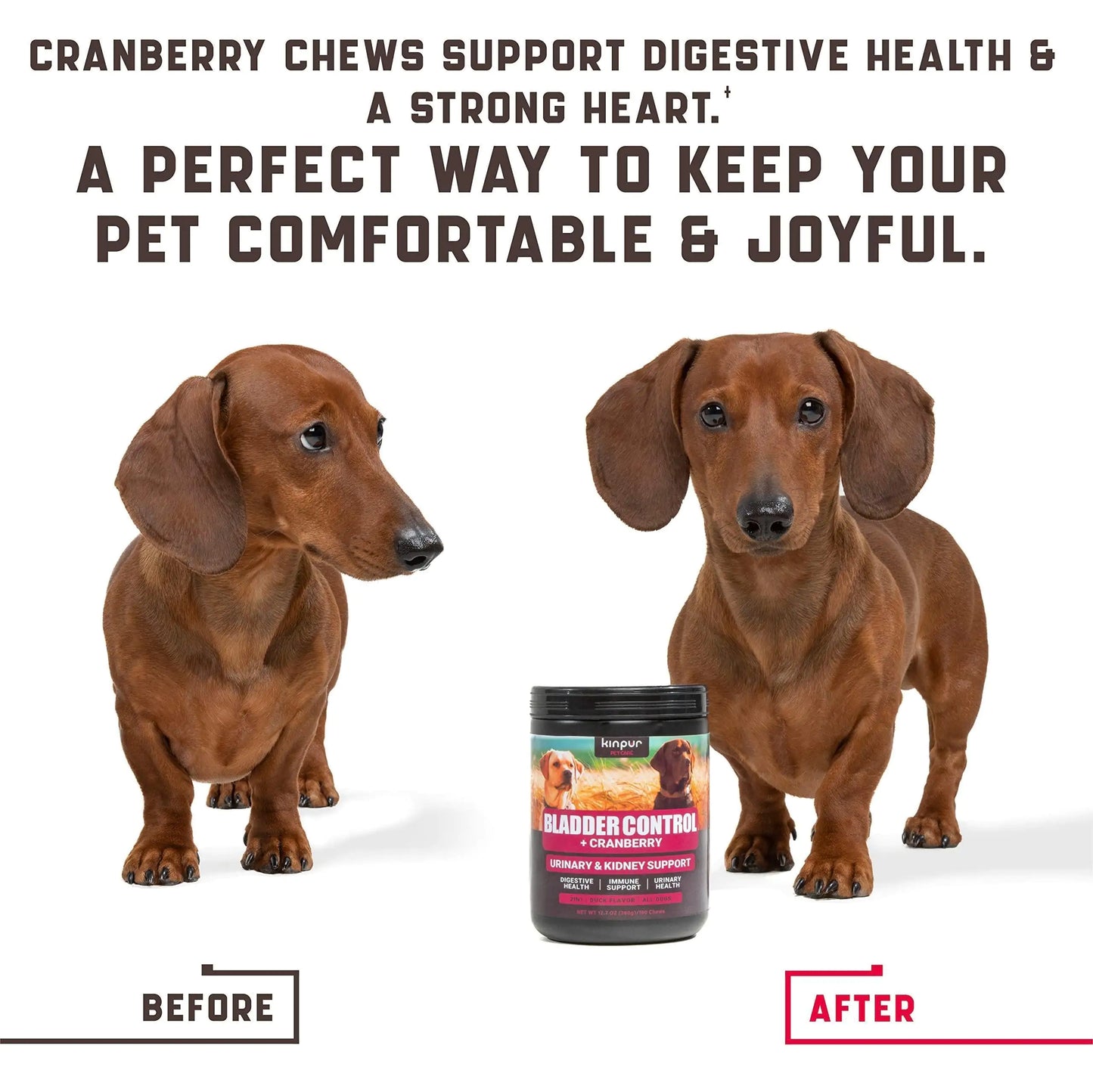 UTI Health 180 Cranberry Dog Treats