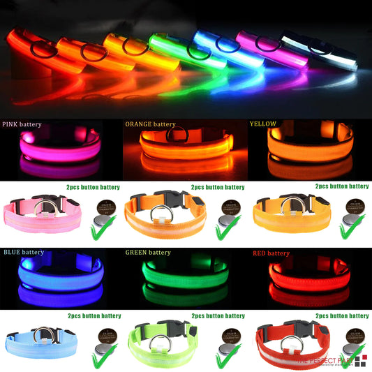 LED Glow Dog Collar – Waterproof, Adjustable & Rechargeable for Night Safety
