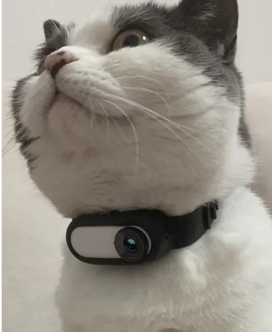 PetView Wireless Camera Collar