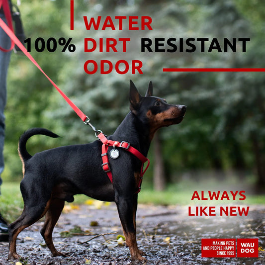 Red Waterproof Dog Harness
