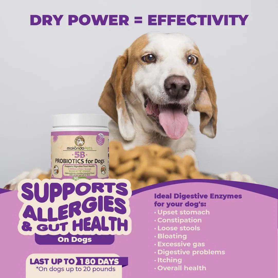 Probiotics for Dogs