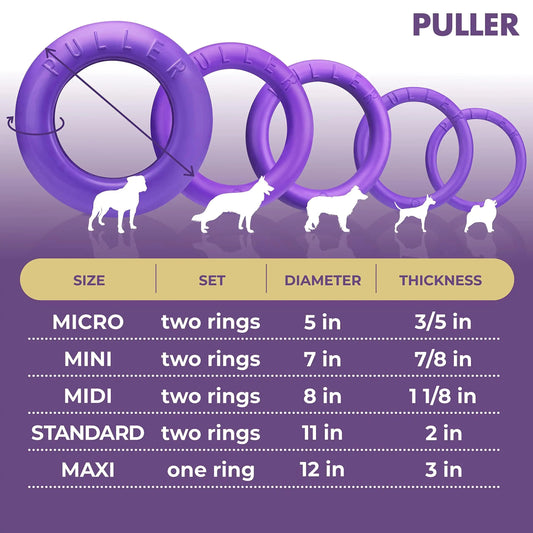 Puller Outdoor Dog Ring