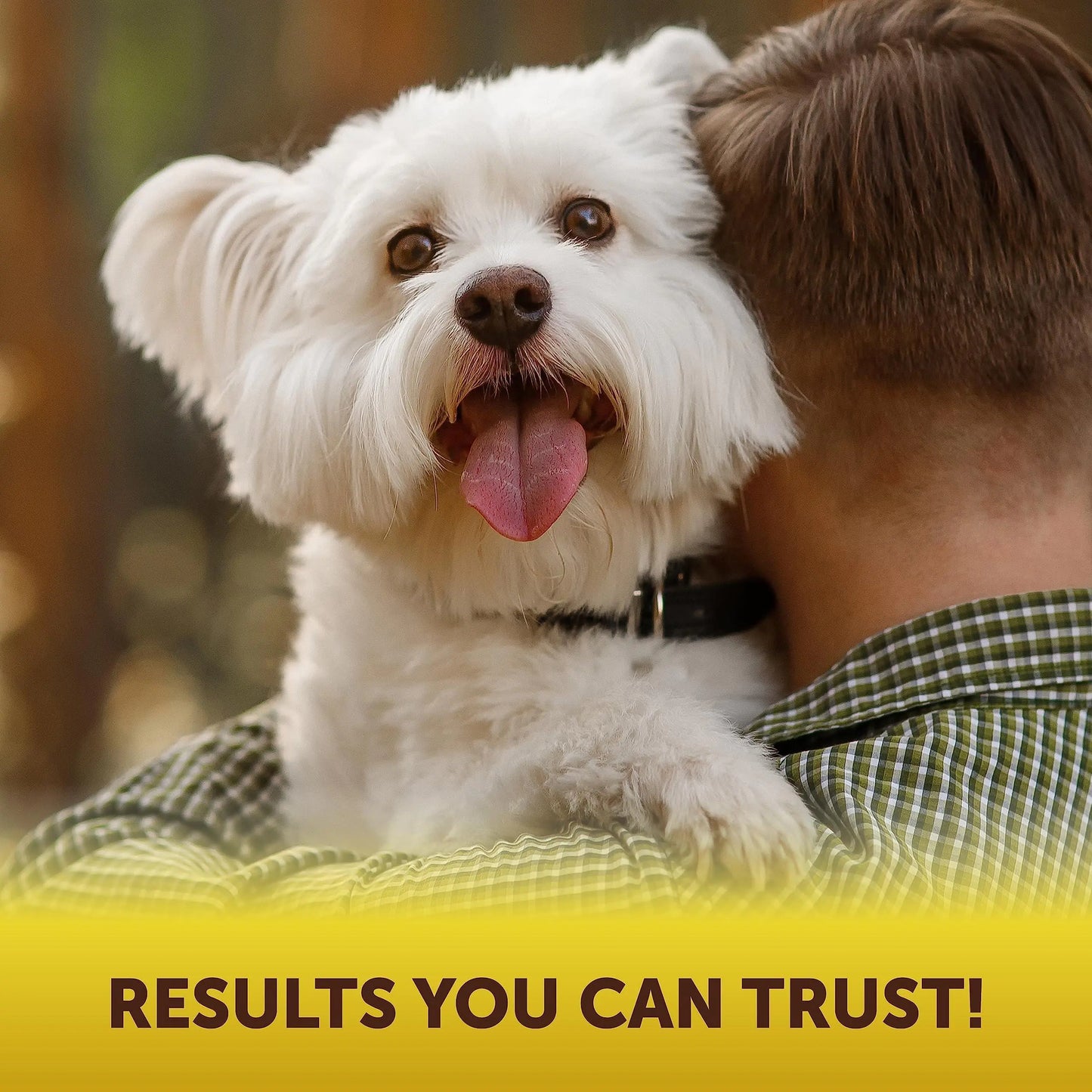ScootEase Fiber Chews for Dog Digestion