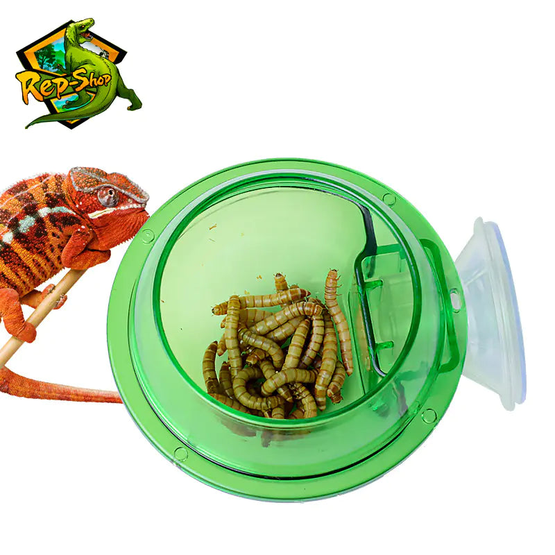 Chameleon Feeding Bowl with Suction Cup for Reptiles