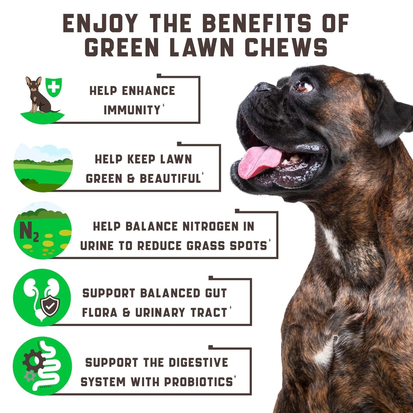 Green Lawn Chews for Dogs