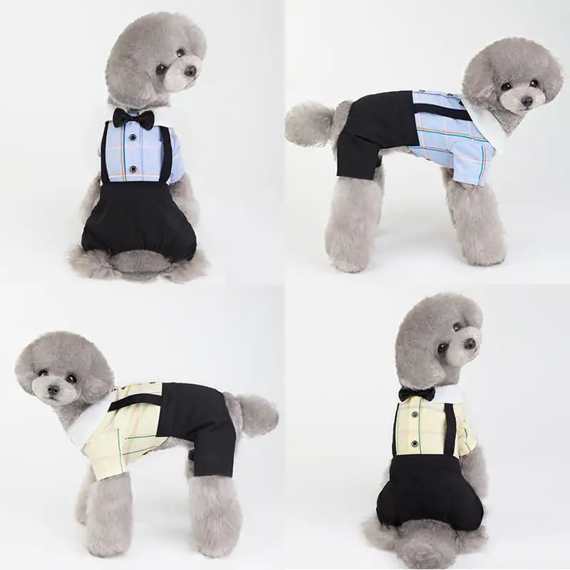Chic Spring/Summer Dog Apparel Sets