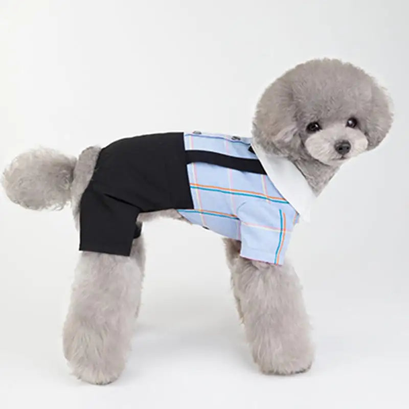 Chic Spring/Summer Dog Apparel Sets