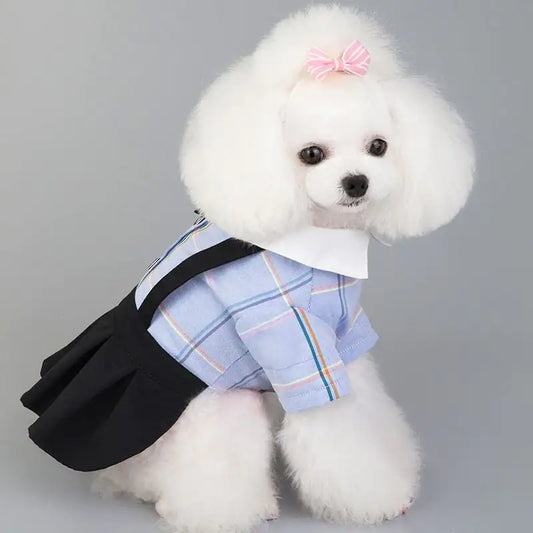 Chic Spring/Summer Dog Apparel Sets