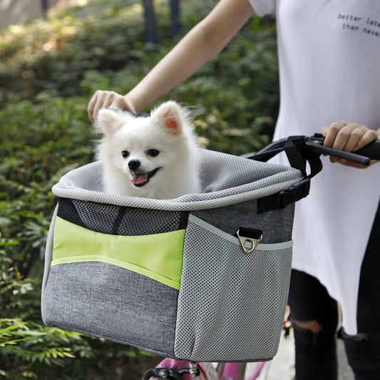Biking with Your Dog: The Best Gear for Safe & Fun Rides