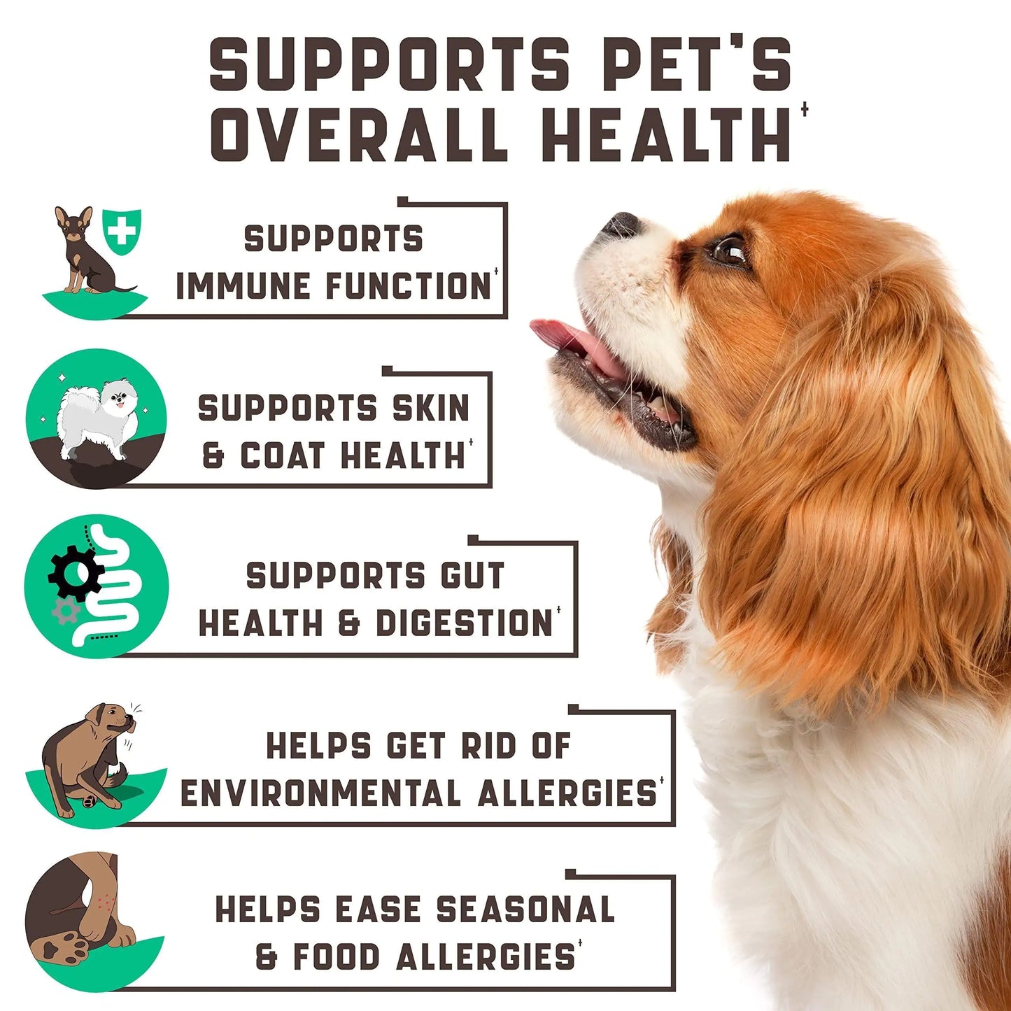 Allergy Relief Probiotic Dog Chews - 180 Count