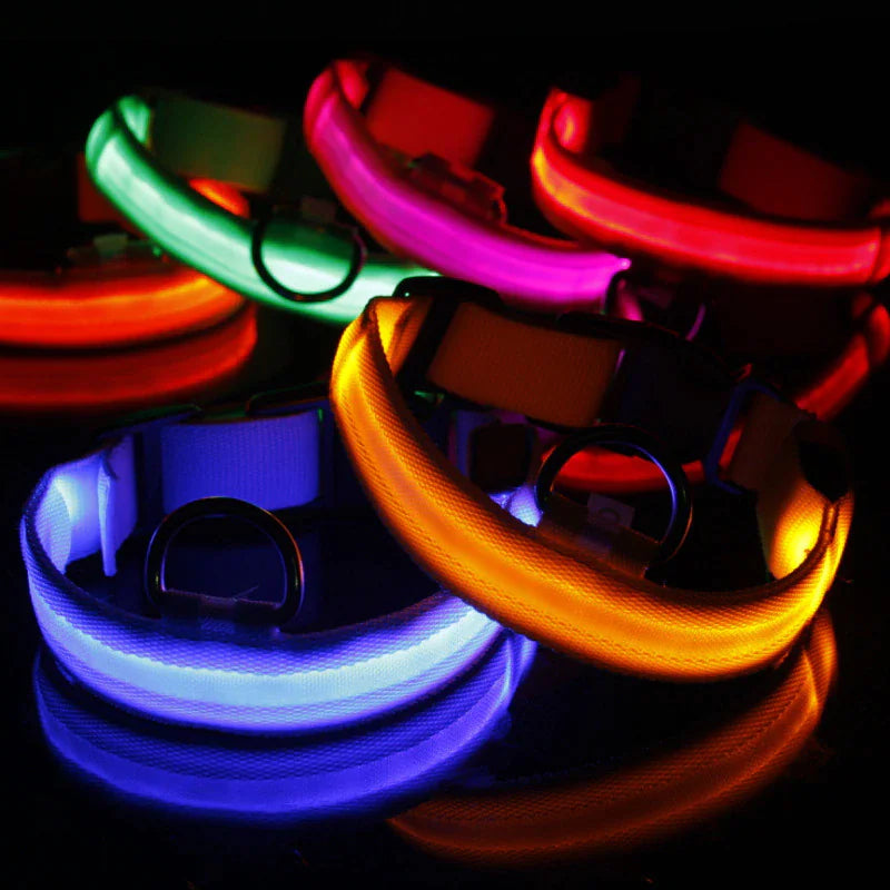 LED Glow Dog Collar – Waterproof, Adjustable & Rechargeable for Night Safety