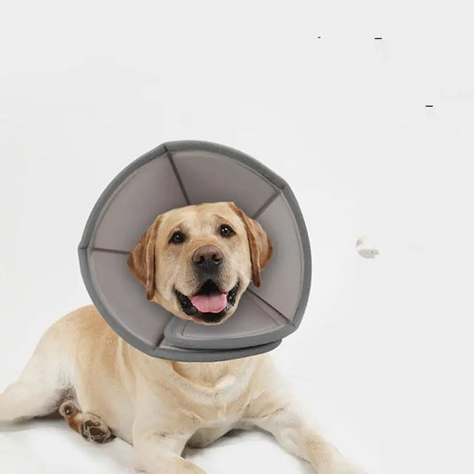SoftFold Anti-Bite Pet Collar
