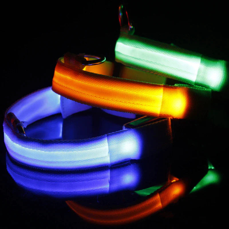 LED Glow Dog Collar – Waterproof, Adjustable & Rechargeable for Night Safety