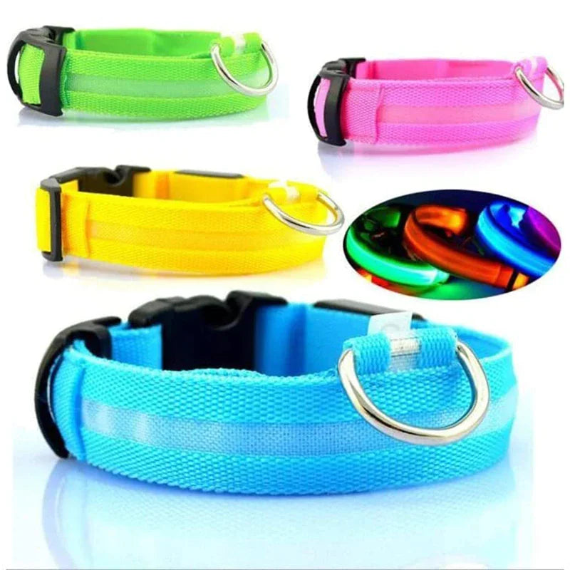 LED Glow Dog Collar – Waterproof, Adjustable & Rechargeable for Night Safety