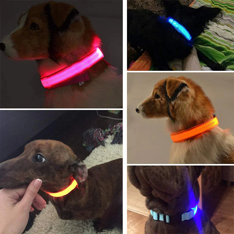 LED Glow Dog Collar – Waterproof, Adjustable & Rechargeable for Night Safety
