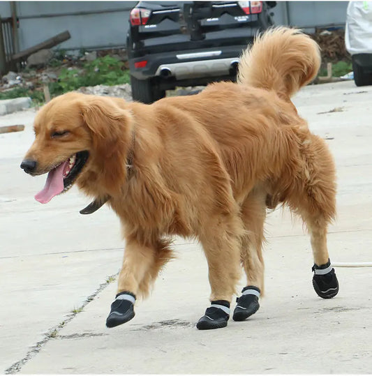 Durable Big Dog Walking Shoes