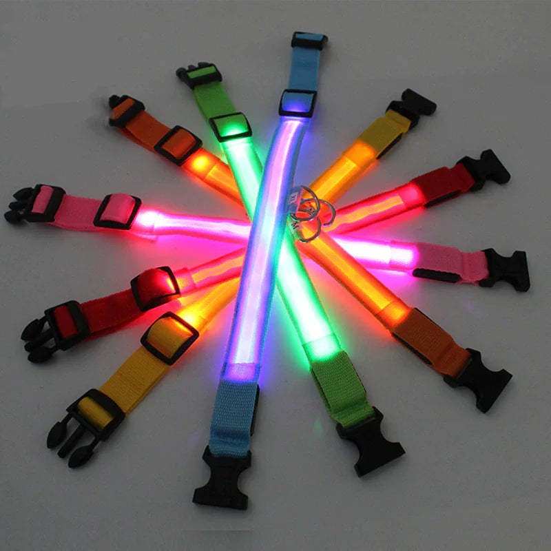 LED Glow Dog Collar – Waterproof, Adjustable & Rechargeable for Night Safety