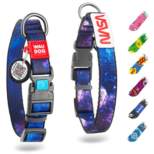 Nylon Dog Collar