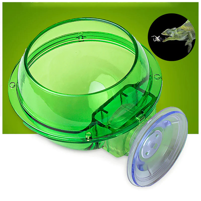 Chameleon Feeding Bowl with Suction Cup for Reptiles