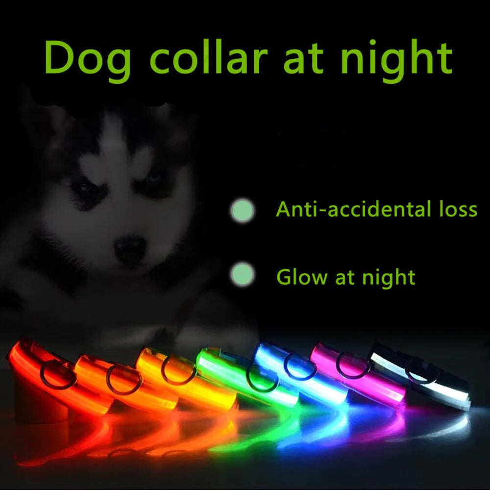 LED Glow Dog Collar – Waterproof, Adjustable & Rechargeable for Night Safety
