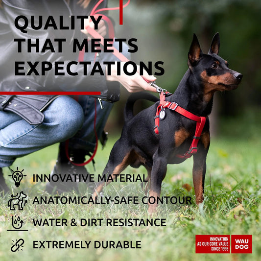 Red Waterproof Dog Harness