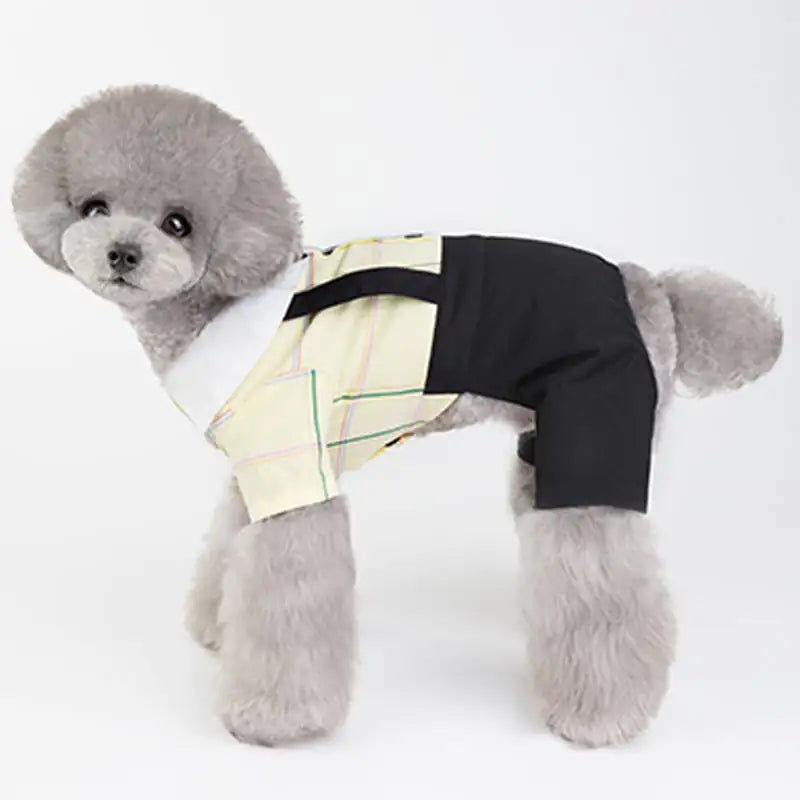Chic Spring/Summer Dog Apparel Sets