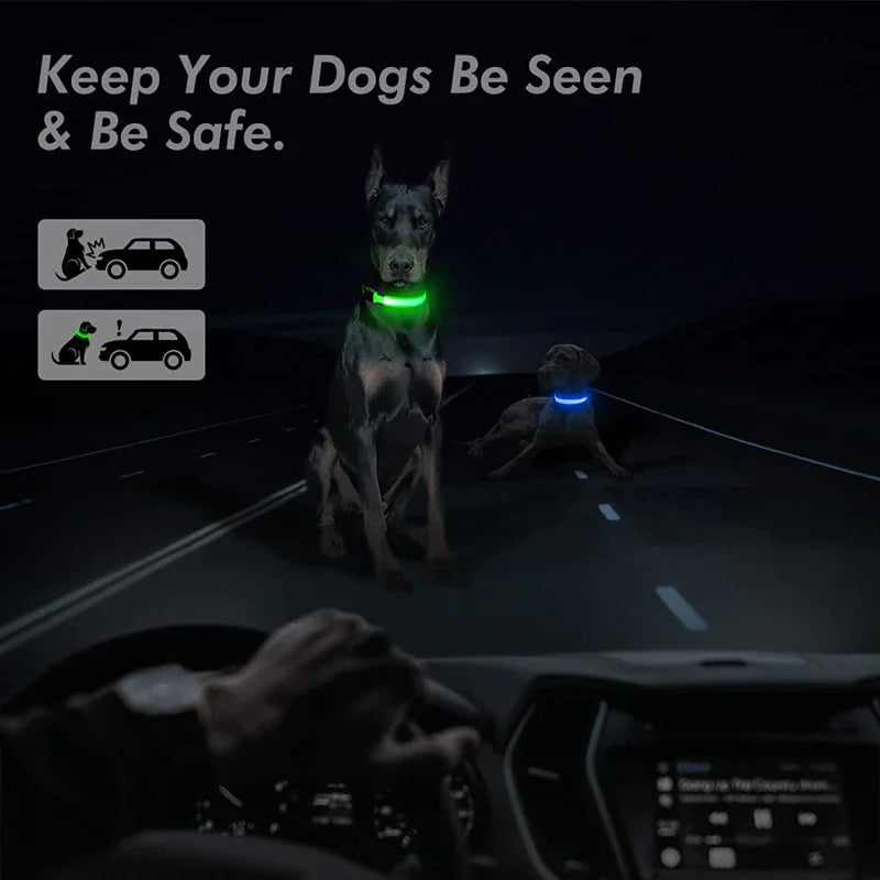 LED Glow Dog Collar – Waterproof, Adjustable & Rechargeable for Night Safety