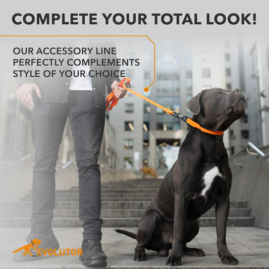 Orange Extra Heavy Duty Dog Leash