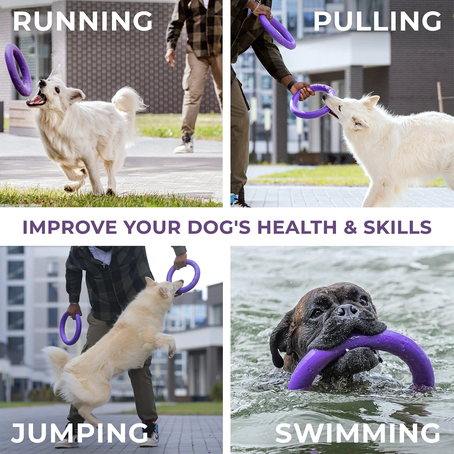 Puller Outdoor Dog Ring
