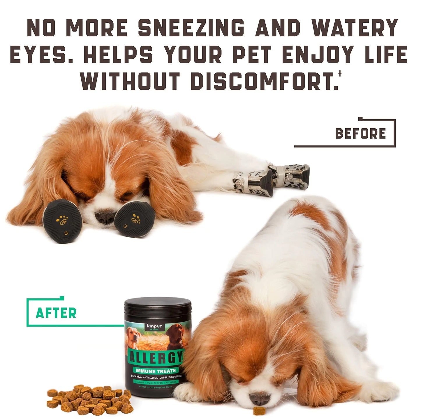 Allergy Relief Probiotic Dog Chews - 180 Count