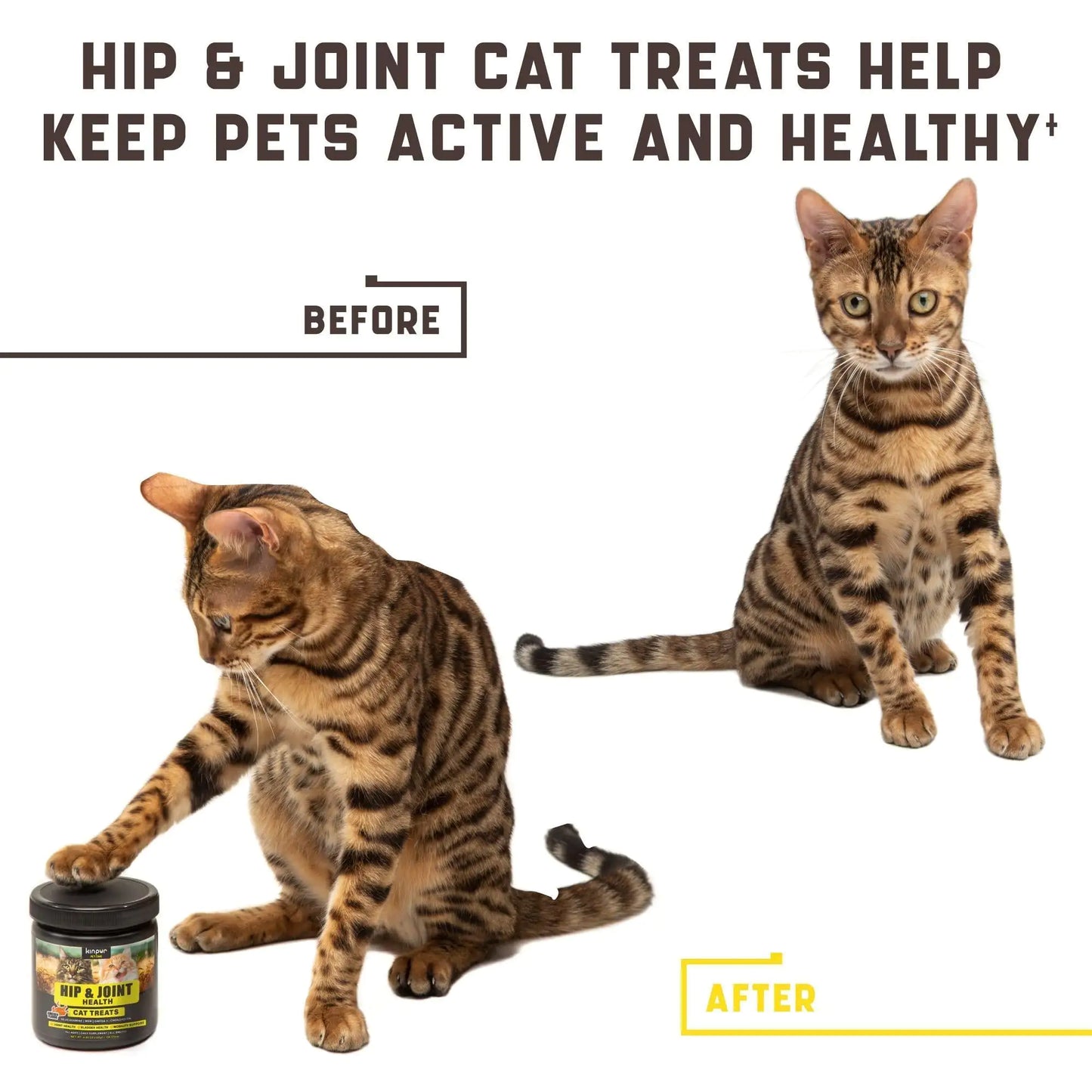 FlexiCat Glucosamine Chews