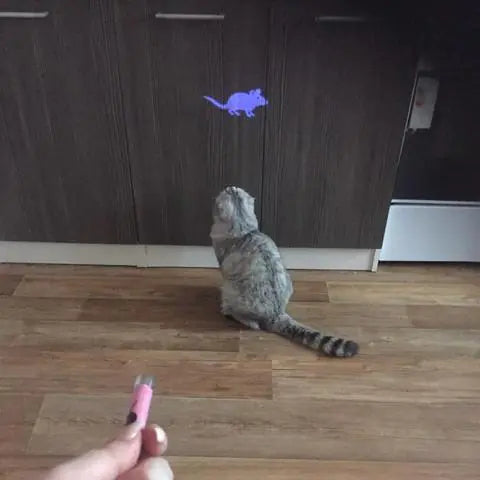 Feline Fantasy Projector Toy