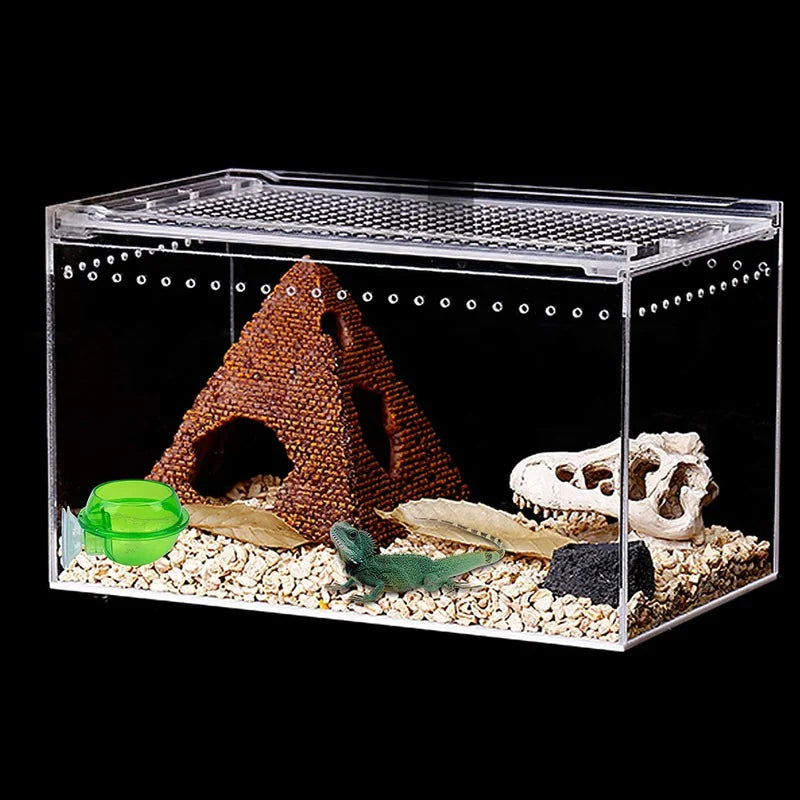 Chameleon Feeding Bowl with Suction Cup for Reptiles