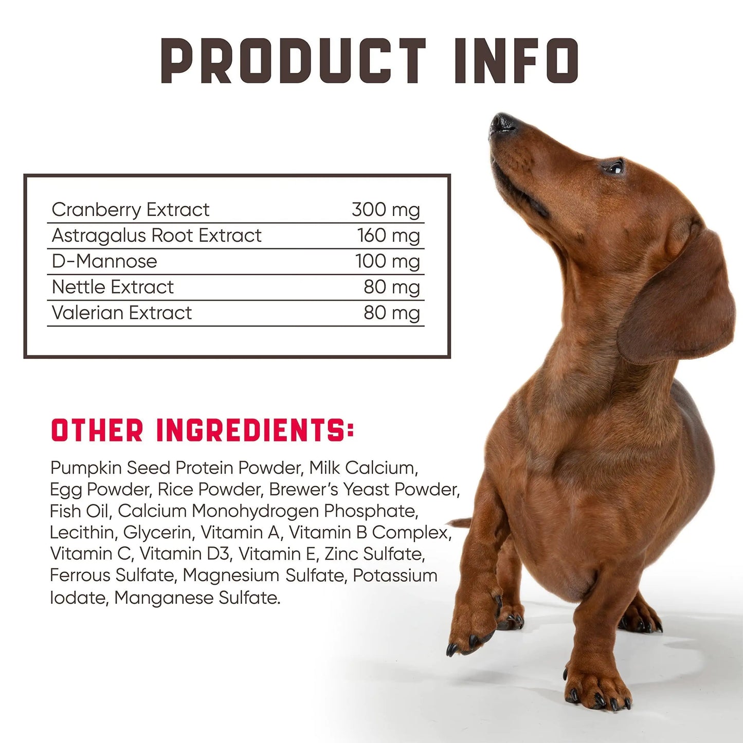 UTI Health 180 Cranberry Dog Treats