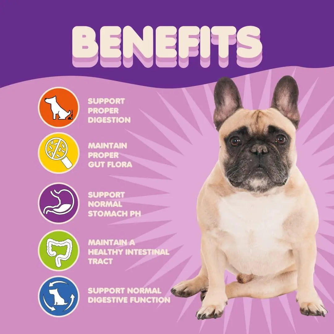 Probiotics for Dogs