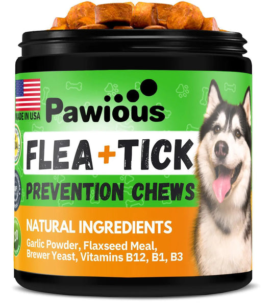 Parasites Prevention for Dogs