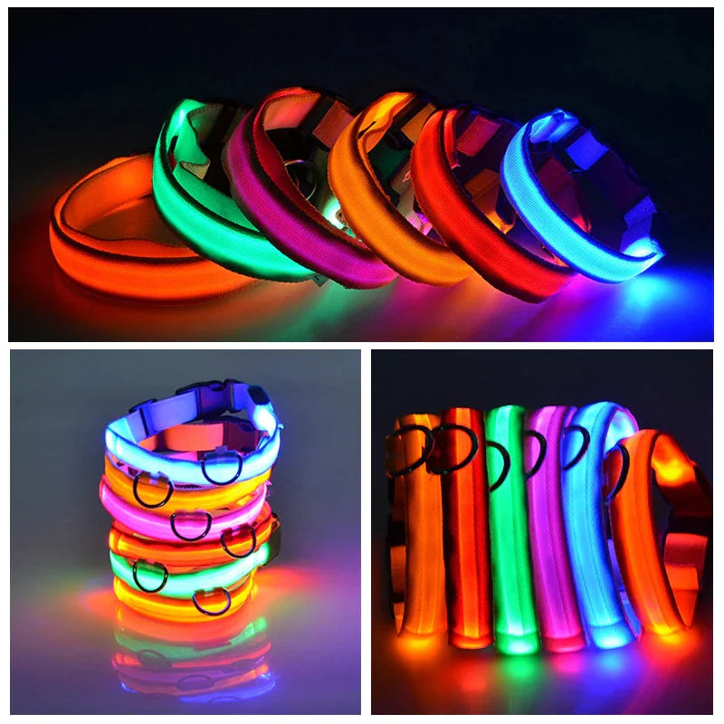 LED Glow Dog Collar – Waterproof, Adjustable & Rechargeable for Night Safety