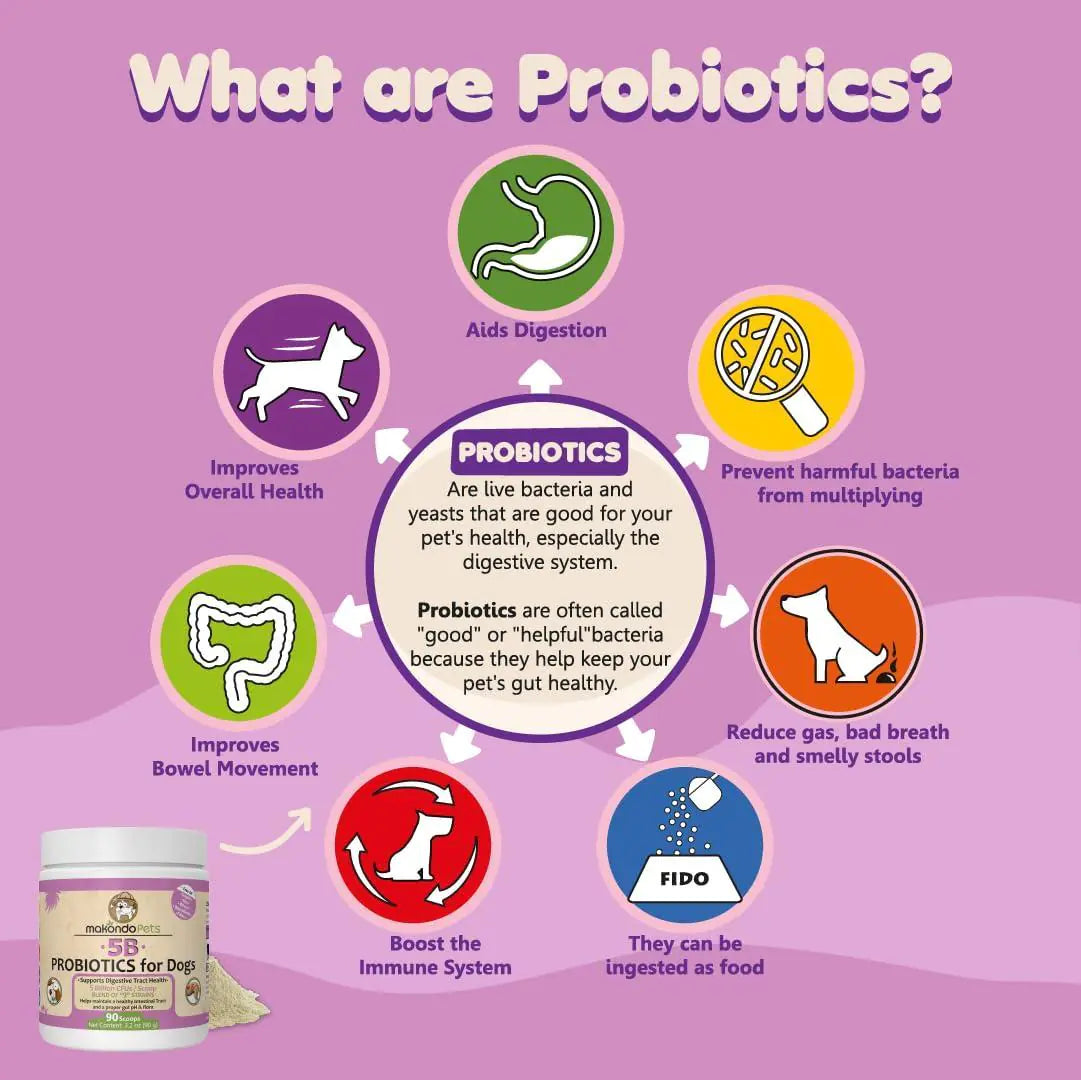 Probiotics for Dogs