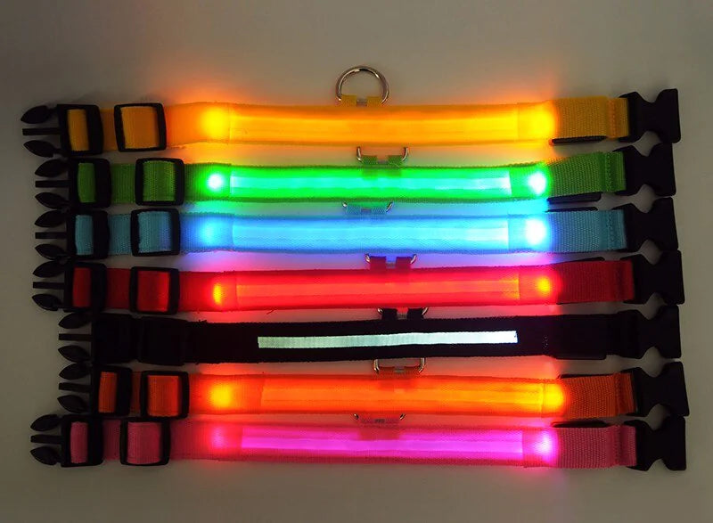 LED Glow Dog Collar – Waterproof, Adjustable & Rechargeable for Night Safety