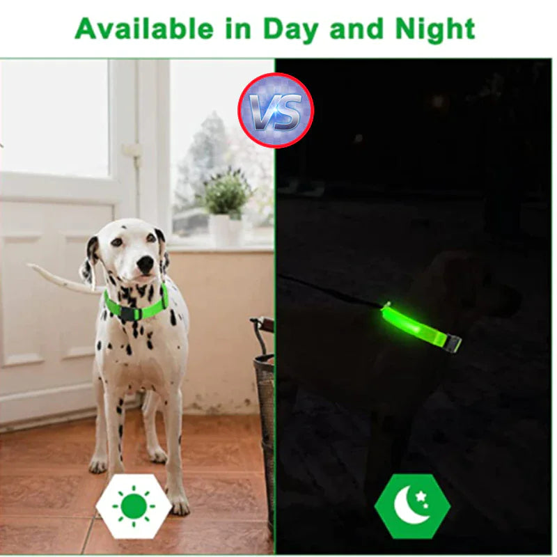 LED Glow Dog Collar – Waterproof, Adjustable & Rechargeable for Night Safety