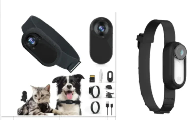PetView Wireless Camera Collar