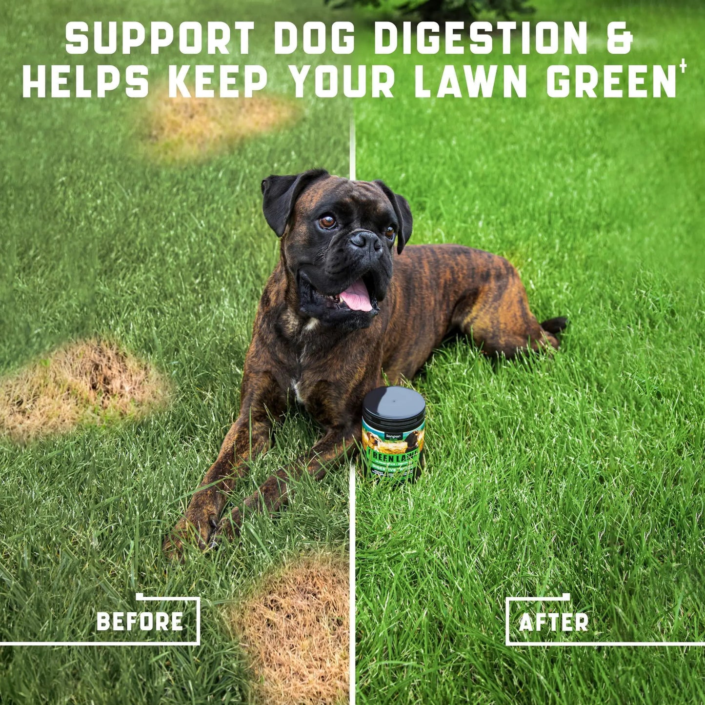 Green Lawn Chews for Dogs