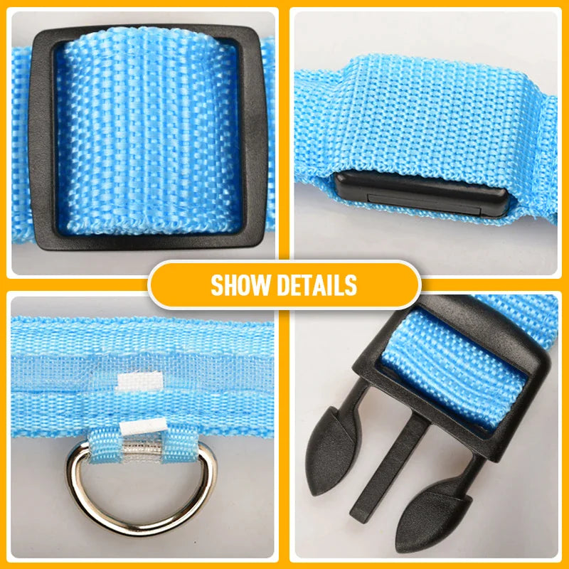 LED Glow Dog Collar – Waterproof, Adjustable & Rechargeable for Night Safety