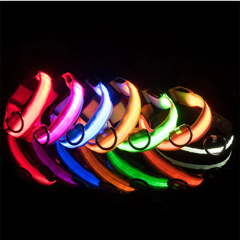 LED Glow Dog Collar – Waterproof, Adjustable & Rechargeable for Night Safety