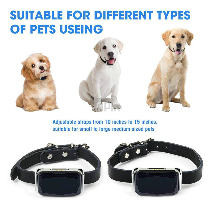 SafePet Tracker