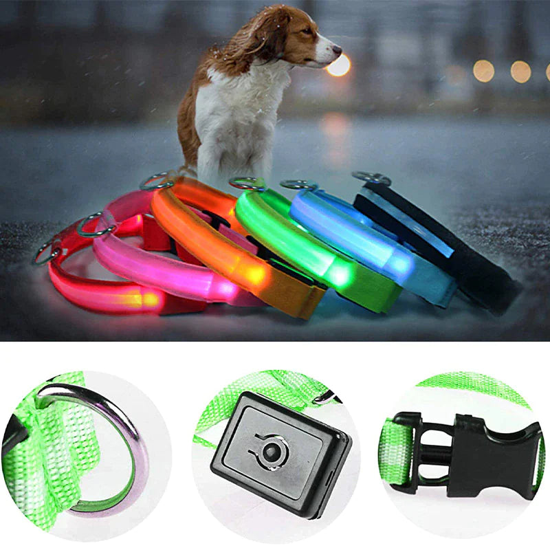 LED Glow Dog Collar – Waterproof, Adjustable & Rechargeable for Night Safety