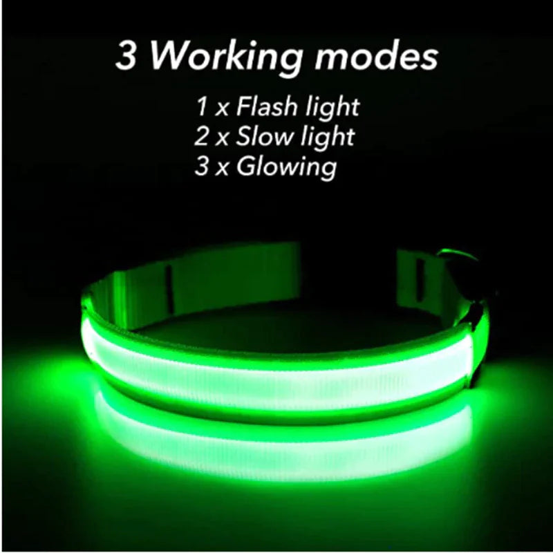 LED Glow Dog Collar – Waterproof, Adjustable & Rechargeable for Night Safety