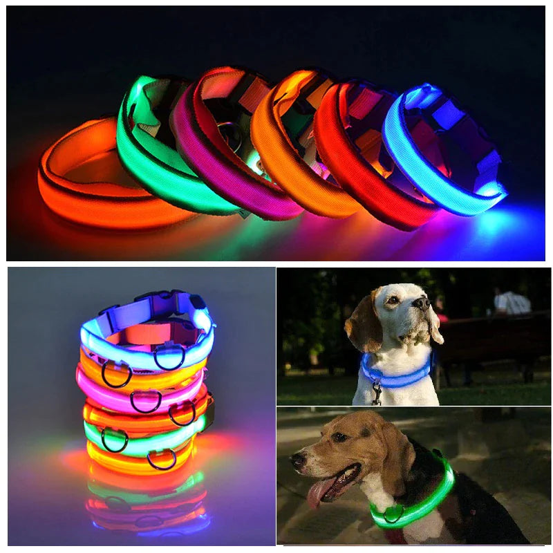 LED Glow Dog Collar – Waterproof, Adjustable & Rechargeable for Night Safety