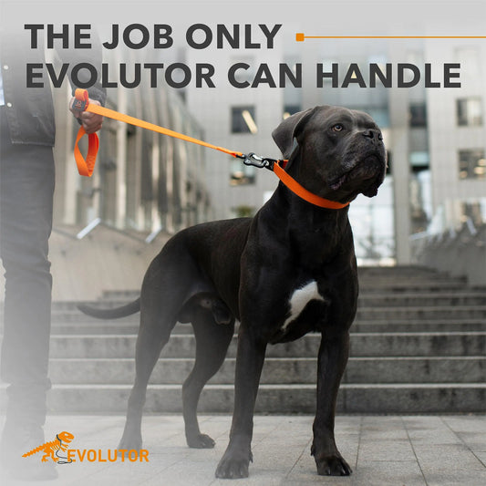 Orange Extra Heavy Duty Dog Leash