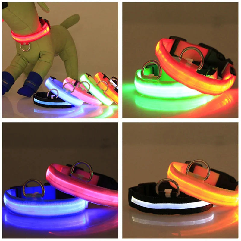 LED Glow Dog Collar – Waterproof, Adjustable & Rechargeable for Night Safety